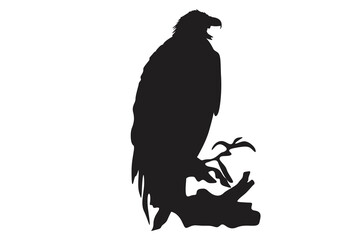 Pose Of Eagle Silhouette With Transparent Background