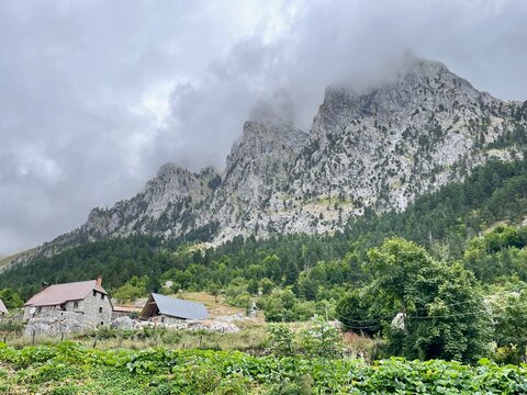 Rural scenery along famous Valbona Theth trek in the Albanian Alps.