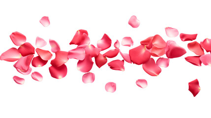 a falling or flying pink rose petals isolated on a transparent background, Valentine's Backdrop - obrazy, fototapety, plakaty
