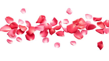 Fotobehang a falling or flying pink rose petals isolated on a transparent background, Valentine's Backdrop © graphicbeezstock