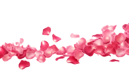 Foto auf Acrylglas a falling or flying pink rose petals isolated on a transparent background, Valentine's Backdrop © graphicbeezstock