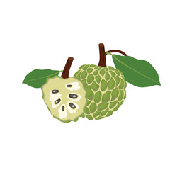 Custard apple with green leaves, isolated on white background, exotic tropical Thai annona or cherimoya fruit.