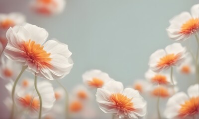 Abstract flowers nature beauty blurred backdrop