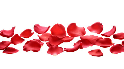 a falling or flying red rose flower petals isolated on a transparent background, Valentine's Backdrop - obrazy, fototapety, plakaty