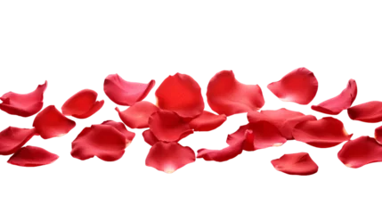 Deurstickers a falling or flying red rose flower petals isolated on a transparent background, Valentine's Backdrop © graphicbeezstock
