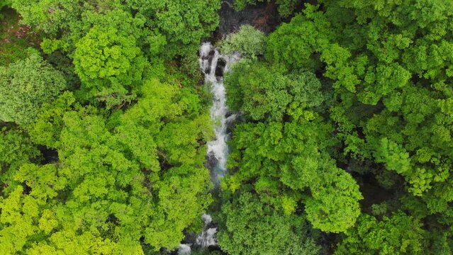 Aerial view of source of the Zrmanja River, Croatia