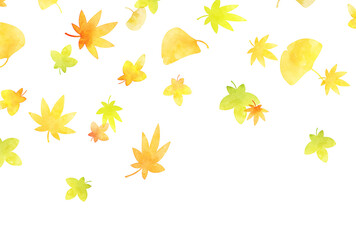 背景素材_水彩_紅葉_白背景