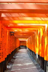 Tuinposter kyoto japan, landmark, beautiful, journey, kyoto, spring, palace, japan, Sakura © kanoksorn