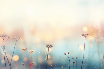 Beautiful meadow with wild flowers over sunset sky. Beauty nature field background with sun flare. Bokeh, silhouettes of wild grass and flower. Sunny summer or autumn nature backdrop