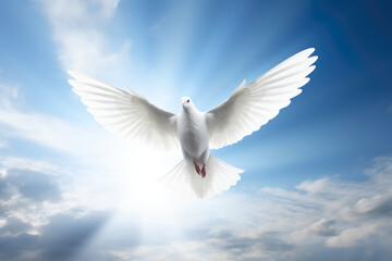 Heavenly Light: Peaceful Dove Descent