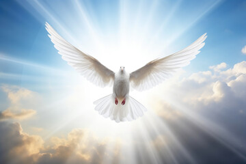 Ethereal Symbol: Dove in Divine Glow - obrazy, fototapety, plakaty