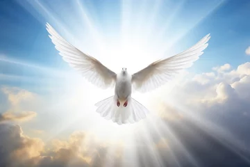 Fotobehang Ethereal Symbol: Dove in Divine Glow © Andrii 
