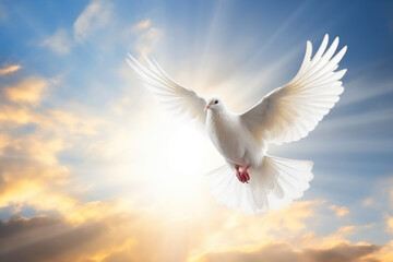 Radiant Peace: Heavenly Dove Soars