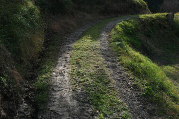 田舎道のわだち