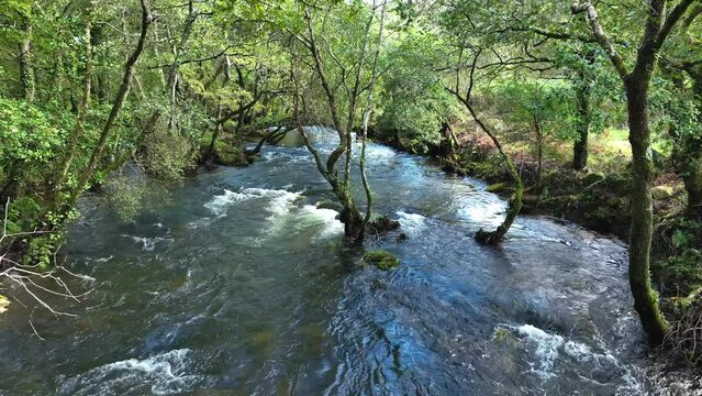 Carballeira Municipal de Baio Hiking Area With Flowing River In La Coruna, Spain. Wide Shot