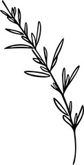 Rosemary sprigs 