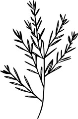 Fototapeta premium black and white silhouettes of plants