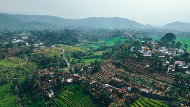 Java Landscape in the Morning with Hills & Rice FIeld