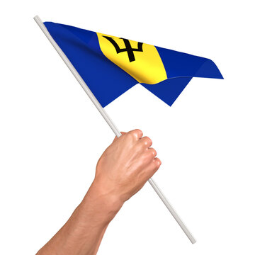 3d hand hold Barbados flag 3D render illustration, isolated on a white background
