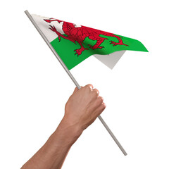 3d hand hold Wales flag 3D render illustration, isolated on a white background