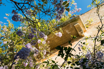 Flowers and balcony in Sicily