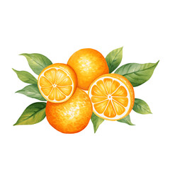 Watercolor orange fruit with leaves for food vitamin design on white background
