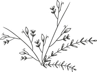 Leaf plant flower outline illustration hand drawn