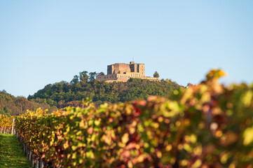 Hambacher Schloss mit Weinbergen im Vordergrund  