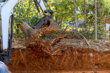 Clearing land for housing complex using skid steer tractor to remove roots
