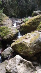 Arroyo Rocoso
