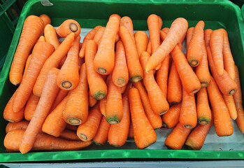 Carrot on the green basket