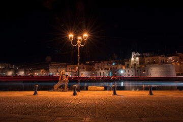 Foto a lunga esposizione del porto turistico di Bisceglie in Puglia di notte. 