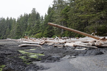 Fototapeta na wymiar Botanical Beach Provincial Park Vancouver Island Canada