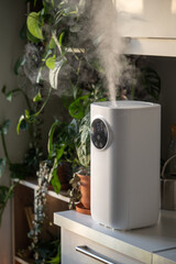Closeup of humidifier at home, moistens dry air surrounded by houseplant, soft focus on steam. Plant care. Humidification, comfortable living conditions. Diffuser, climate equipment for apartment.