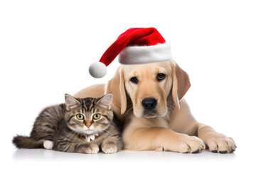 Festive Furry Friends, Cats and Dogs in Christmas Costumes