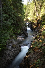 Obraz premium Little Qualicum Falls- Provincial Park (Vancouver Island) Canada