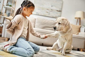 cute labrador giving paw to elementary age girl in casual wear in modern living room, kid and dog