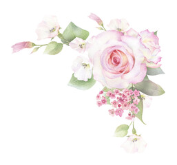 A corner rose arrangement with pink roses, creepers, pink flowers and leaves hand drawn in watercolor. Floral watercolor card