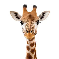 Foto op Canvas giraffe isolated on white background © Thibaut Design Prod.