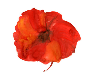 Red poppy flower. Hand-drawn pictorial botanical illustration. Modern Fashion plant painting for fabric design, T-shirts, bags, cosmetics packaging, wedding invitations. Gouache painting	