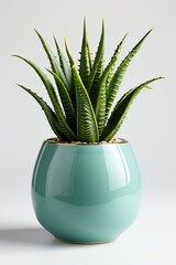 A green pot with a snake plant inside of it.