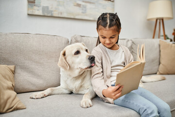 happy girl sitting on sofa and reading book near labrador in modern living room, animal companion - obrazy, fototapety, plakaty