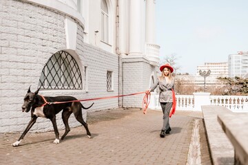 A photo of a woman and her Great Dane walking through a town, taking in the sights and sounds of...