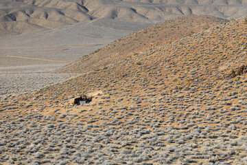 Ghost town and old abandoned miners buildings in, Death Valley National Park, California