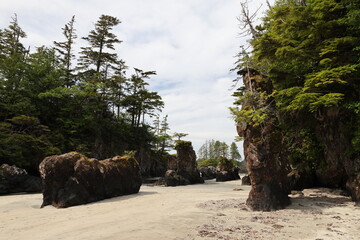 Cape Scott Provincial Park - Sea Stacks at San Josef Bay (Vancouver Island) Canada