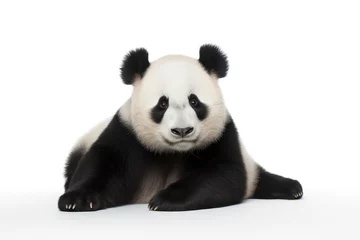 Poster Im Rahmen giant panda isolated on white © Thibaut Design Prod.