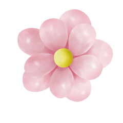 pink flower isolated