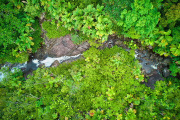 Bird eye drone photgraphy of Sauzier waterfall on, surrounded by lush forest, Mahe Seychelles 3