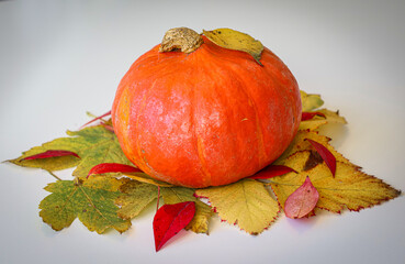 autumn decoration, pumpkin laid on leaves with white background