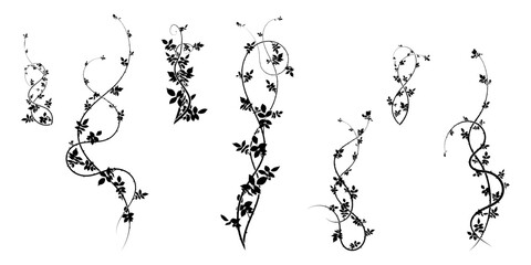 ivy pattern hawthorn plant for ornament. stock - obrazy, fototapety, plakaty